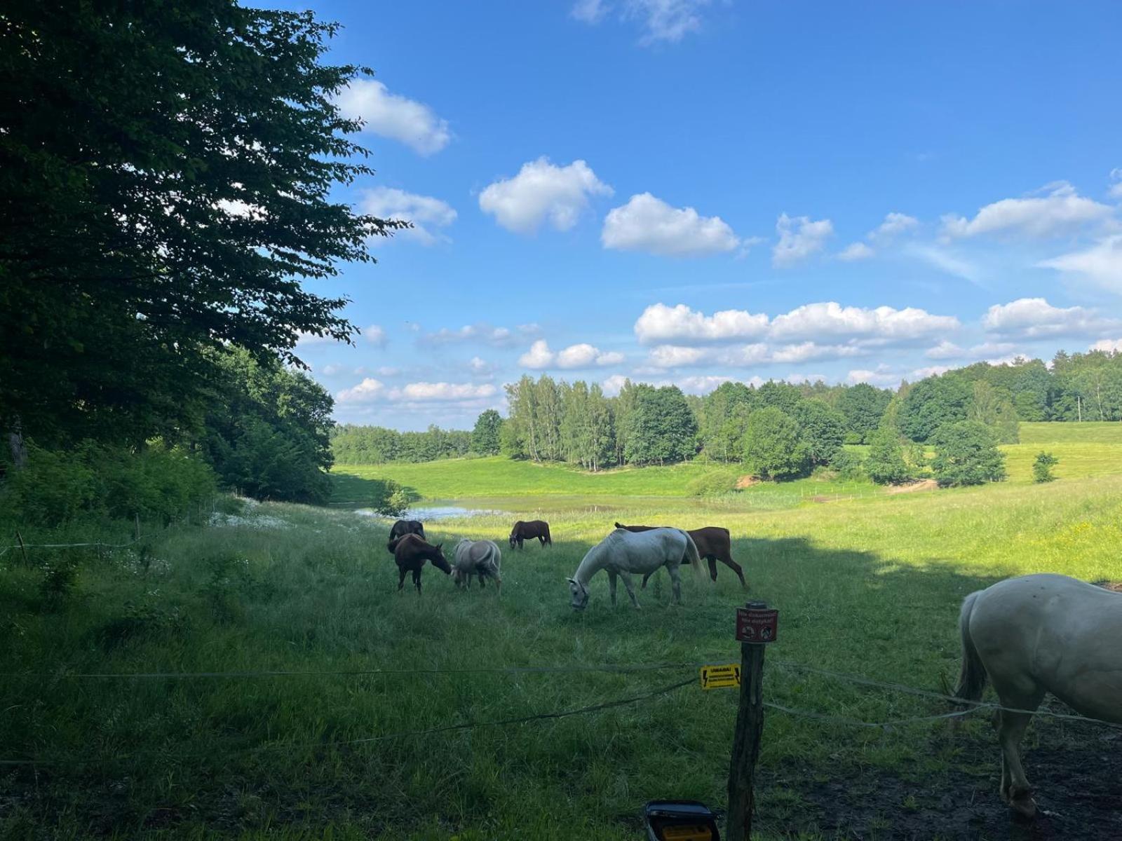 Biale Domki Bytów Exteriör bild